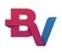 Bright Virtue Services Limited logo